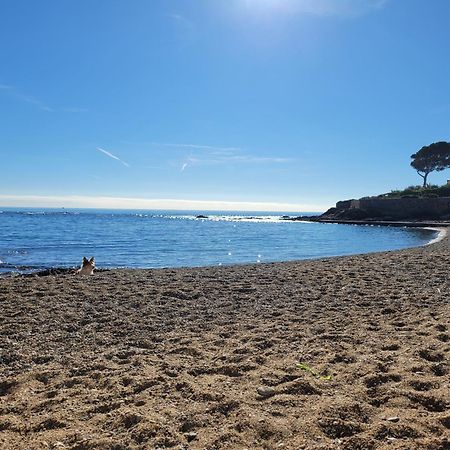 Appartement La Tranquillite, 2Mn A Pieds Mer Fréjus 외부 사진
