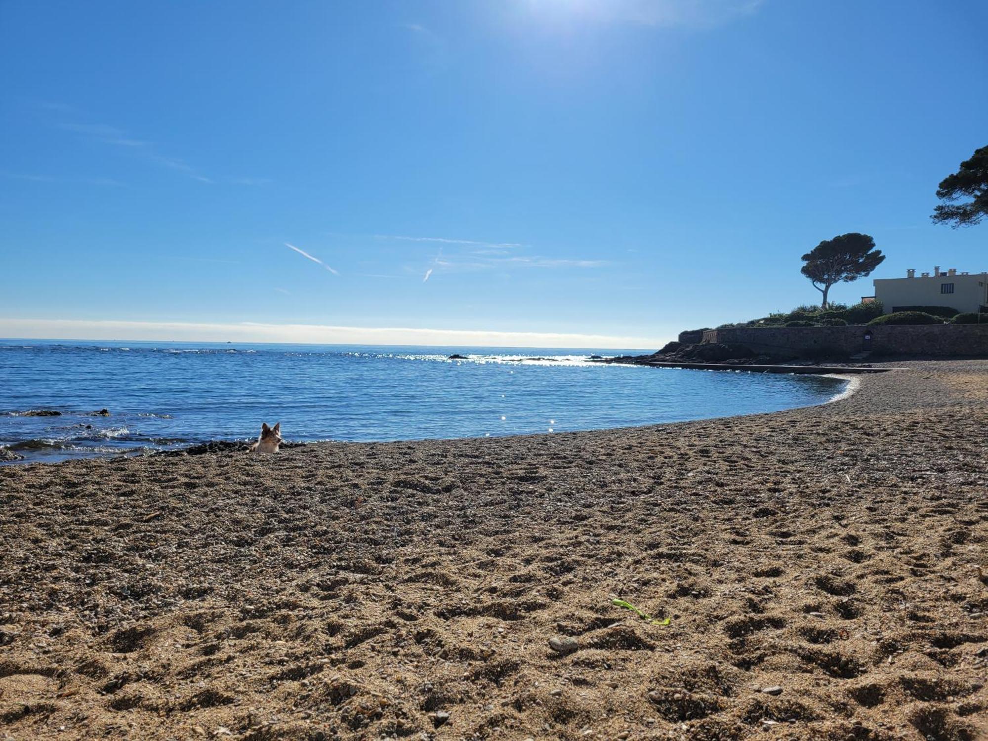 Appartement La Tranquillite, 2Mn A Pieds Mer Fréjus 외부 사진